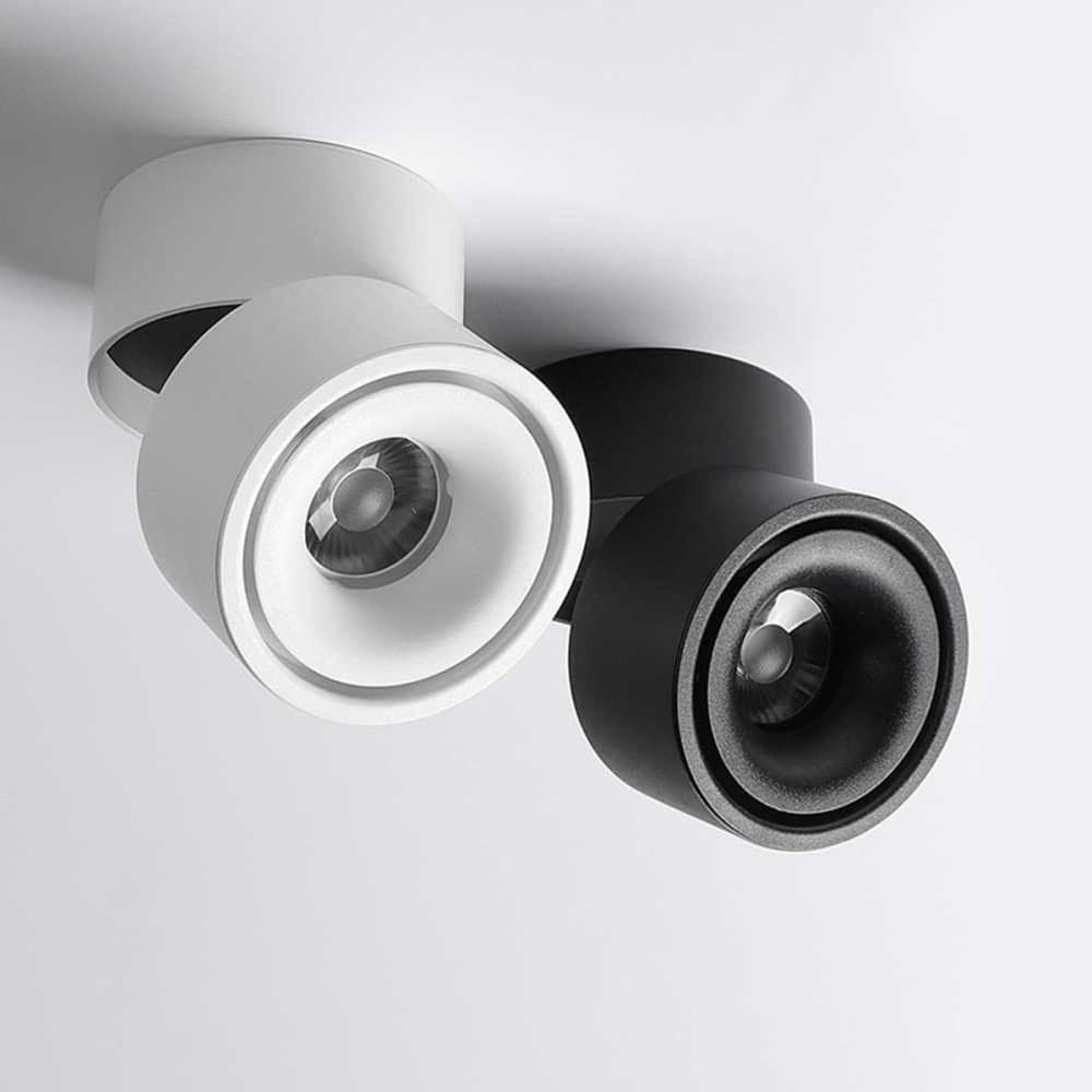 Adjustable Surface Downlight - ფოტო 1